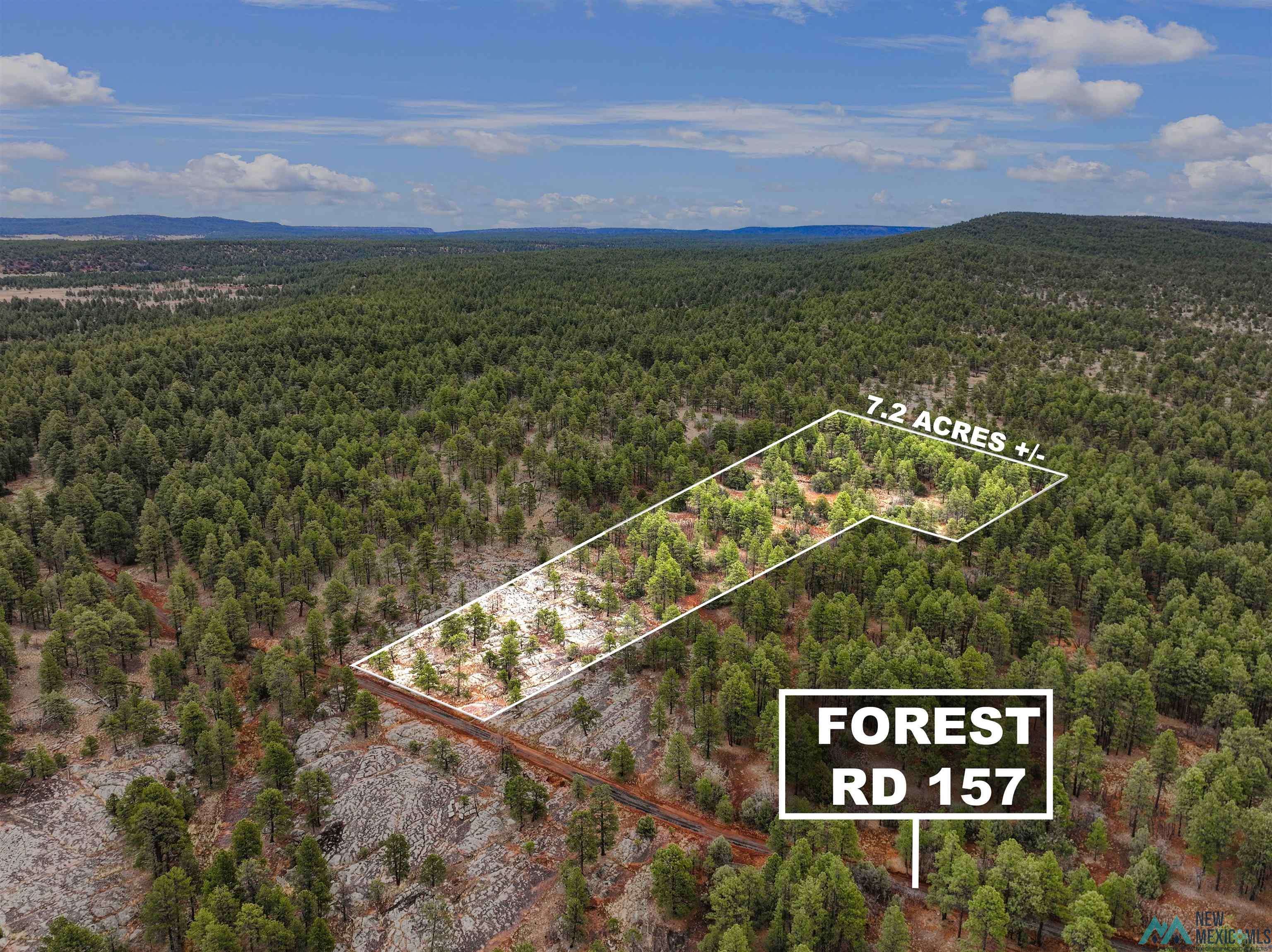 LOT 25A FOREST 157 Road, Mcgaffey, NM 87316