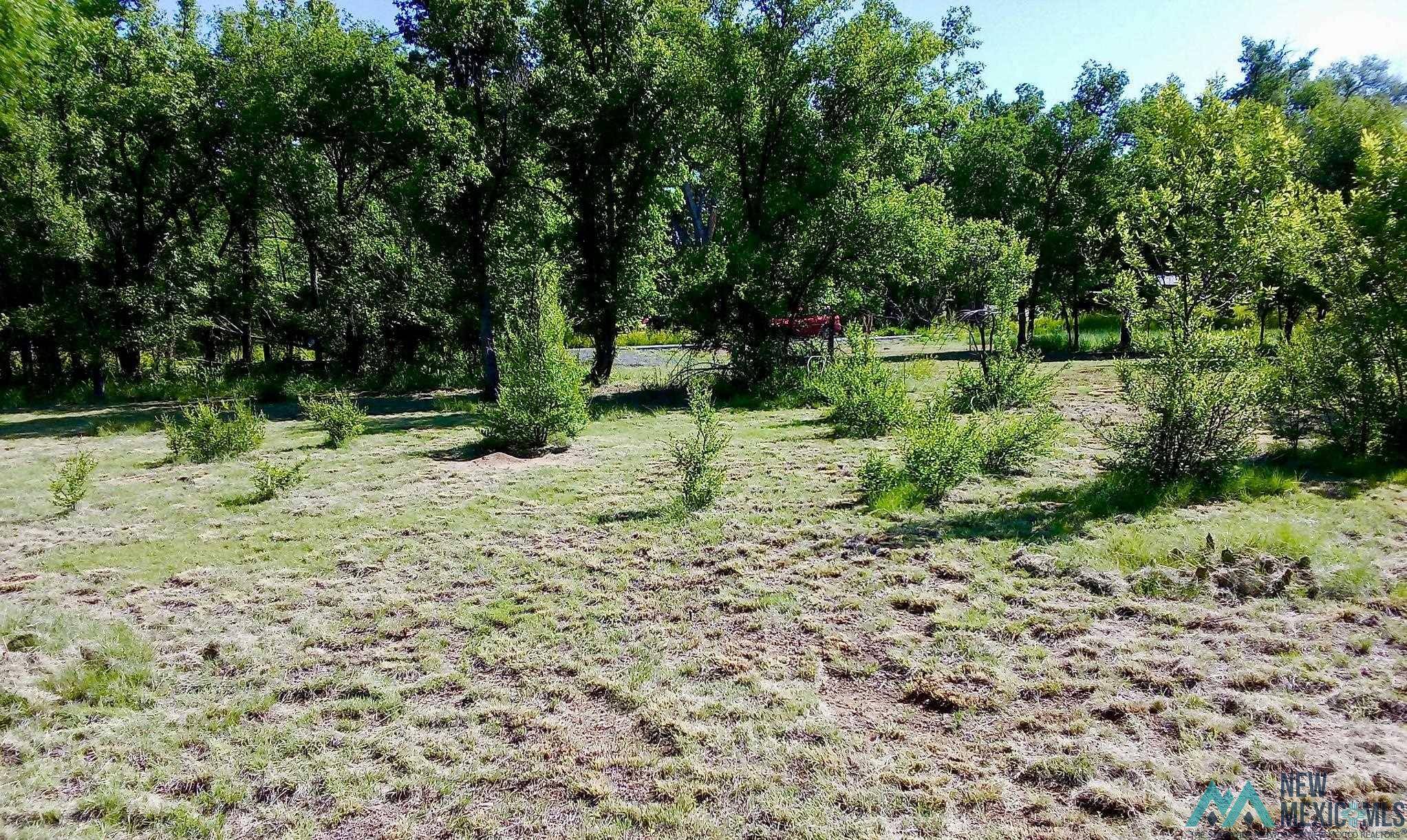 Springer, NM 87747,302 10th Street