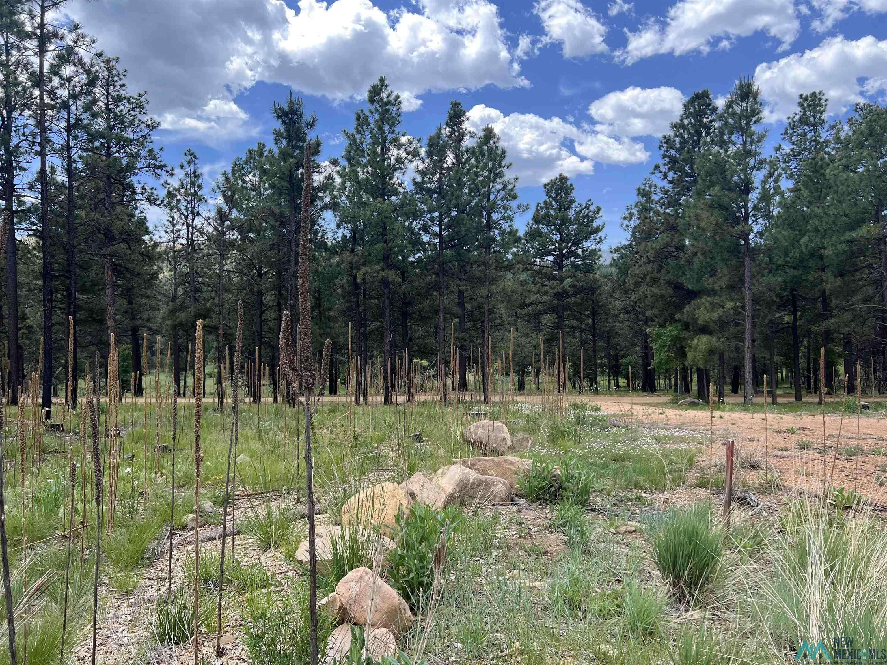 22 Calle Retiro Road #Pendaries Village, Rociada, NM 87742