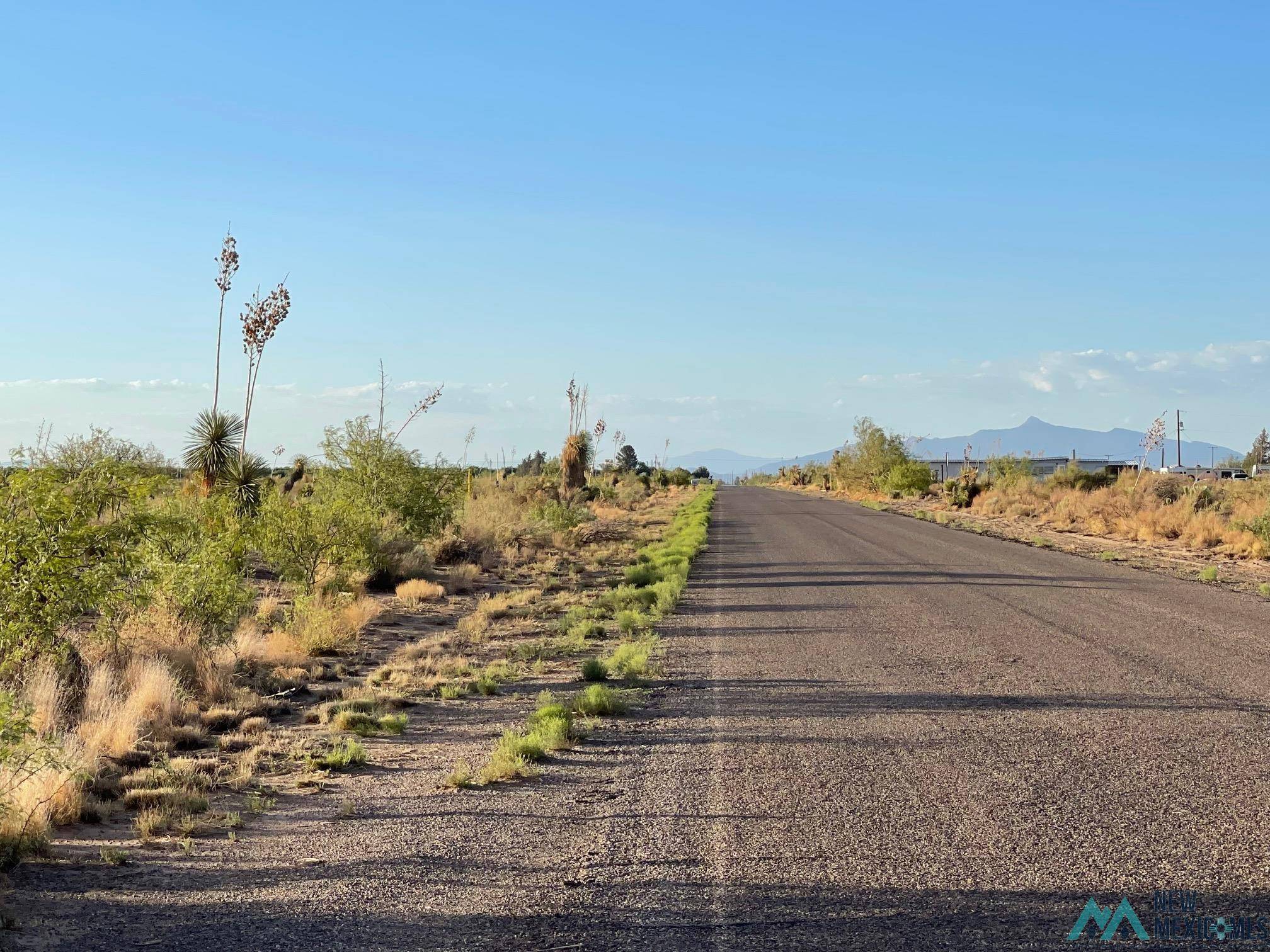 Yucca Land Estates #Quandel Rd SW, Deming, NM 88030