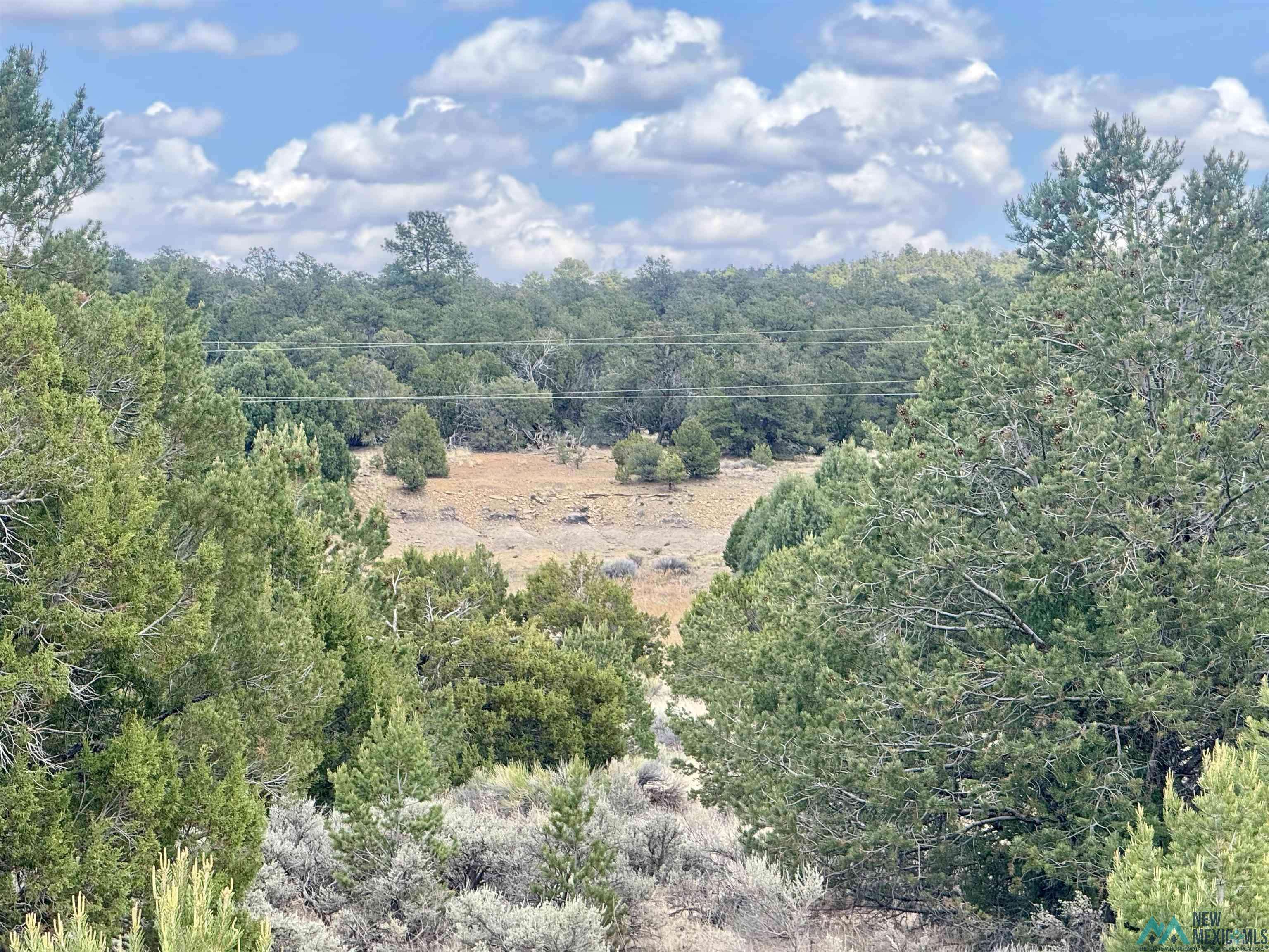 Adams Lake, Candy Kitchen, NM 87321