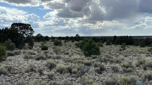 Quemado, NM 87829,Bridle Path Road #Lot 34 Golden Horshoe