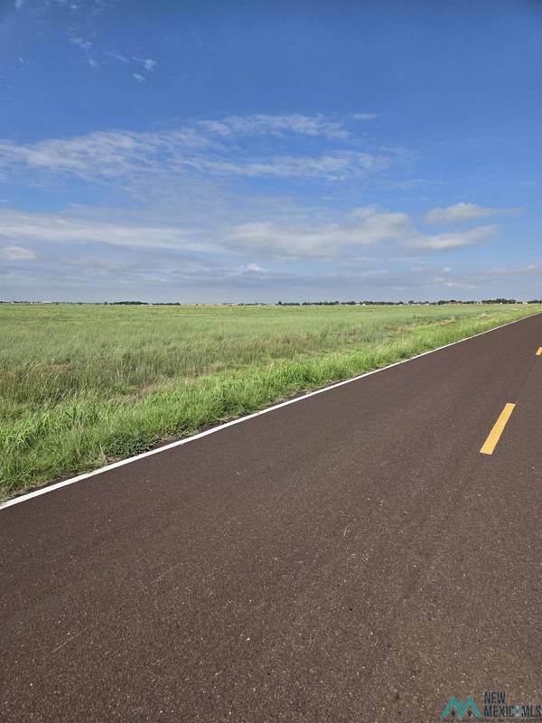 Tract 4 CR 16 Road #CR 16, Clovis, NM 88101
