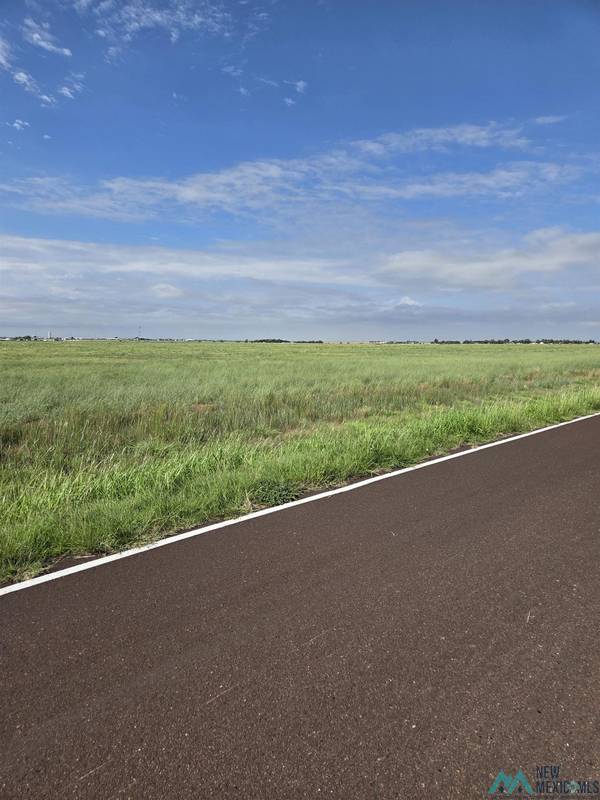 Tract 13 CR I Road #CR I, Clovis, NM 88101
