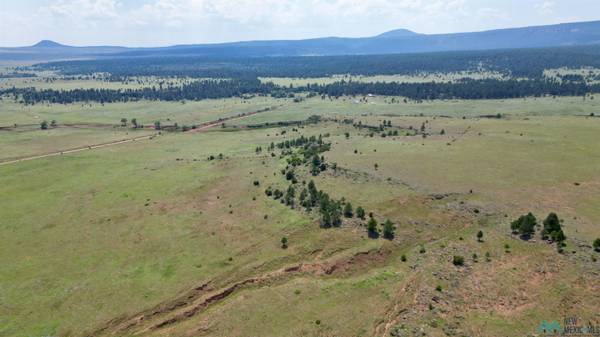 TBD 120 Highway, Ocate, NM 87734
