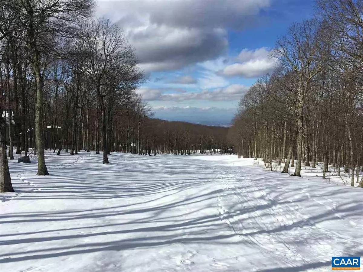 Wintergreen Resort, VA 22967,117 FAIRWAY OAKS LN