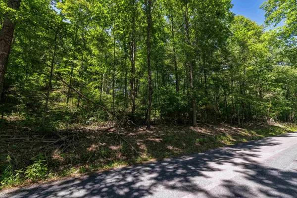 Mount Solon, VA 22843,TBD STRIBLING SPRINGS RD