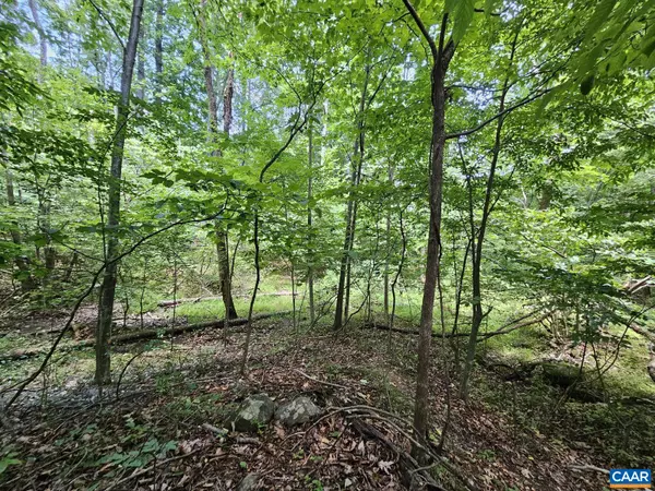 Stanardsville, VA 22973,TBD Lot 18 FARMVIEW RD #18