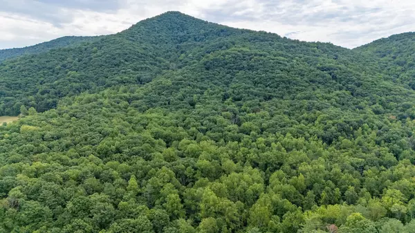 48.48 Acres BLACKWELLS HOLLOW RD, Crozet, VA 22932