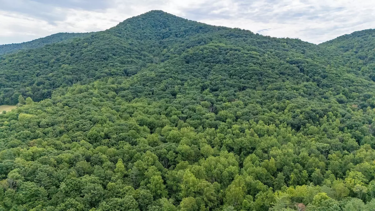 Crozet, VA 22932,48.48 Acres BLACKWELLS HOLLOW RD