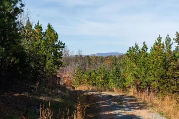 TBD POUNDING CREEK RD #3A, Charlottesville, VA 22903