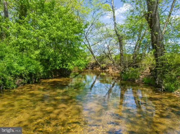 Orlean, VA,THUMB RUN RD