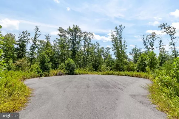 Unionville, VA 22567,LOT 13C WHARTONS PASS