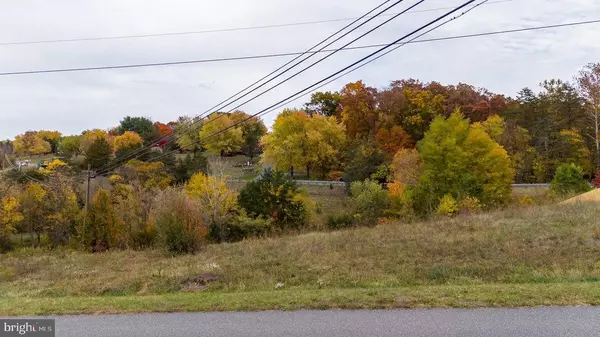 Shenandoah, VA 22849,LOCUSTDALE LOOP