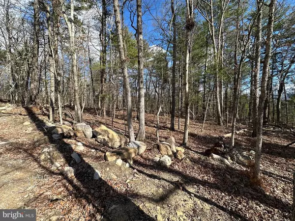 FOREST EXT DR, Luray, VA 22835