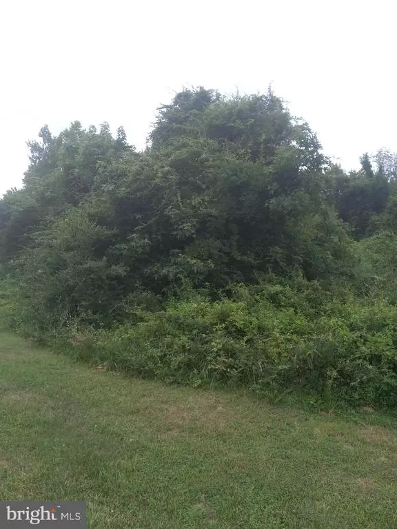 Spotsylvania, VA 22553,0 LEWIS ESTATES LANE - LOT 3