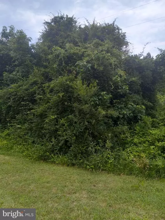 Spotsylvania, VA 22551,0 LEWIS ESTATES LANE - LOT 4