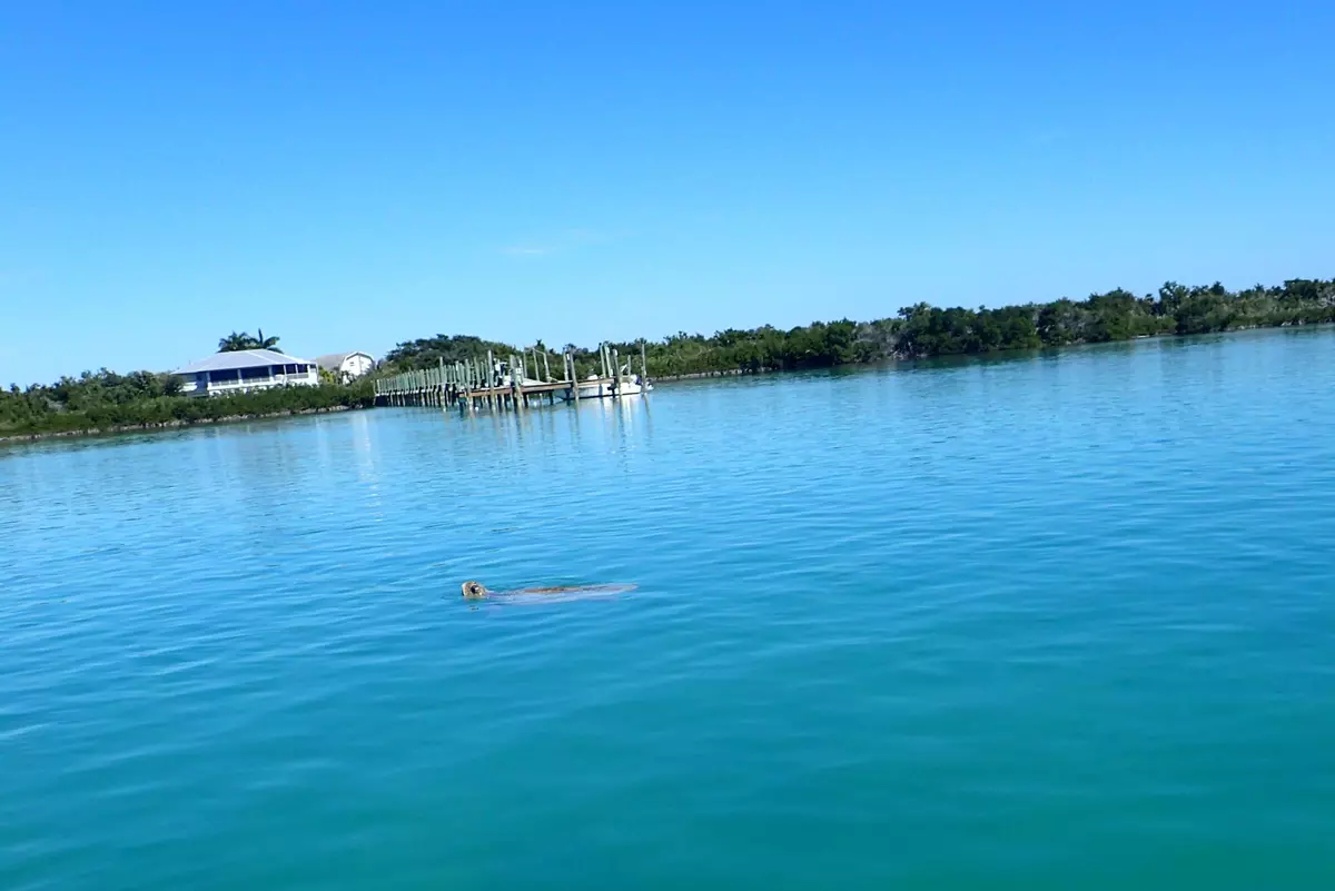 Big Torch, FL 33042,5420 Dorn Road