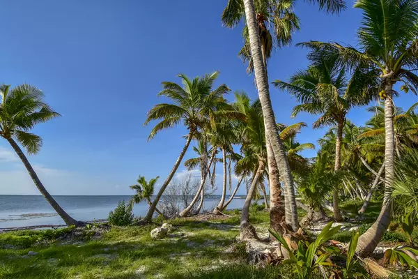 Upper Matecumbe Key Islamorada, FL 33036,82601 Old State Rd