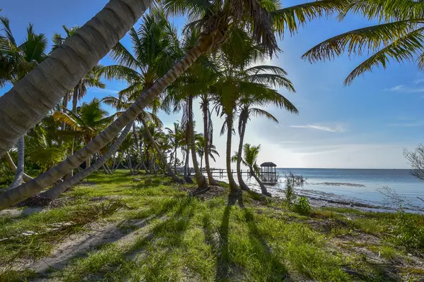 Upper Matecumbe Key Islamorada, FL 33036,82601 Old State Rd