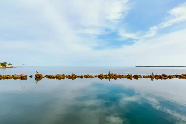 Tavernier, FL 33070,139 Dubonnet Road