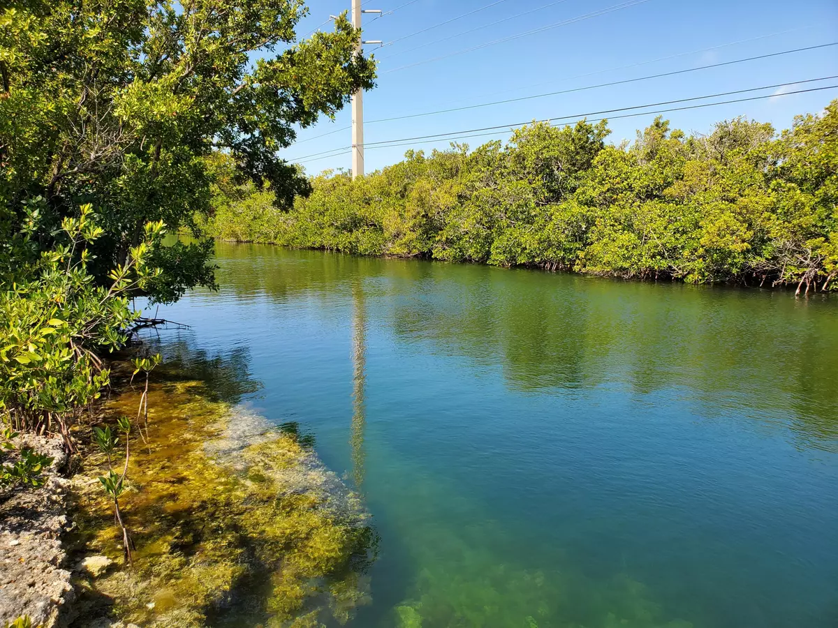 Sugarloaf Key, FL 33042,16841 Driftwood Lane