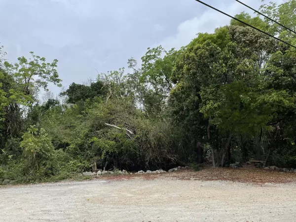 Vacant Lot Tree Lane, Key Largo, FL 33070