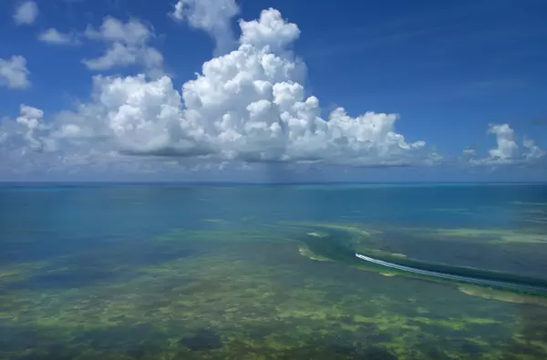 Upper Matecumbe Key Islamorada, FL 33036,1 TDR