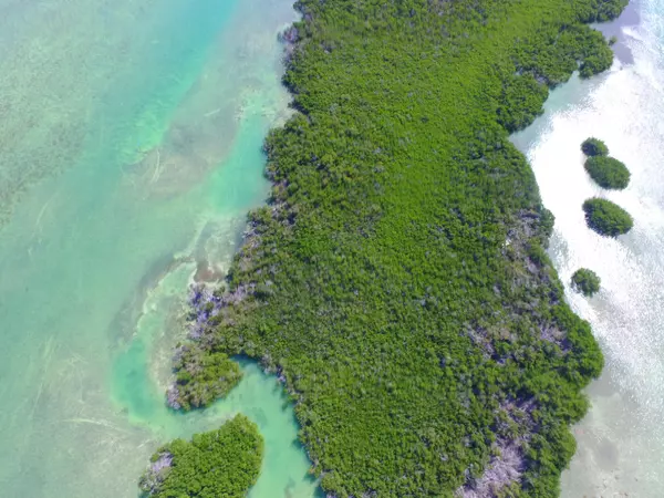 Geiger, FL 33040,Bird Key