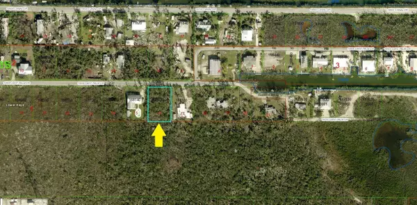 Sugarloaf Key, FL 33042,Date Palm Drive