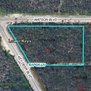 Big Pine Key, FL 33043,0000 Watson Boulevard