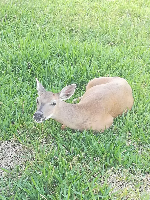 Big Pine, FL 33043,29859 Overseas Highway #A3