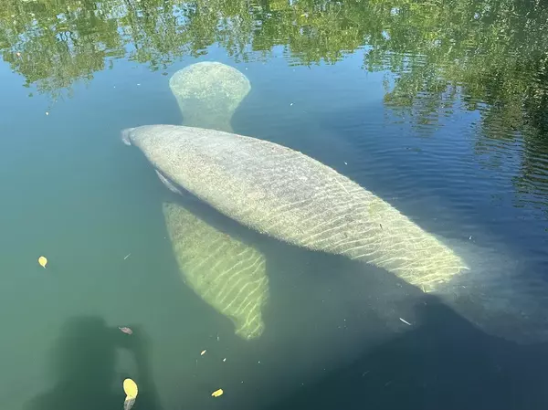 Geiger, FL 33040,7 Cormorant Lane