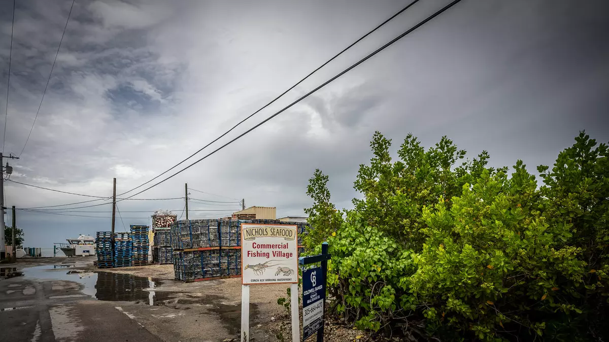 Conch Key, FL 33050,15 Seaview Avenue
