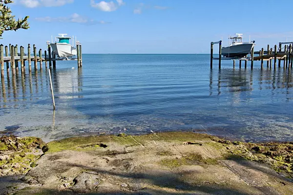 Tavernier, FL 33070,203 Tarpon Street