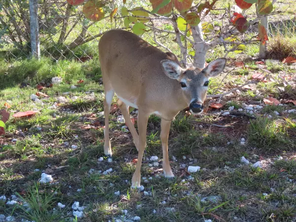 No Name, FL 33043,Spanish Channel Drive