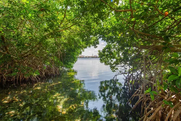 Key West, FL 33040,901 Eisenhower Drive