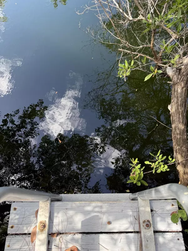 Little Torch, FL 33042,27960 Porgie