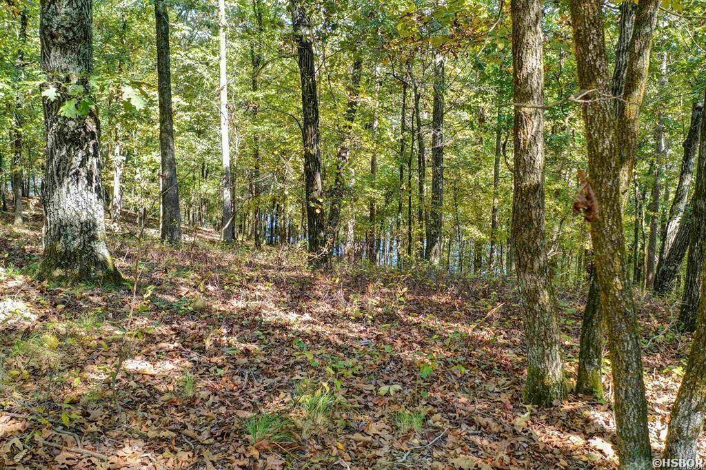 Lot 45 ALAVA Way, Hot Springs Village, AR 71909-0000