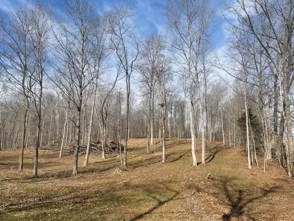 Scottsville, KY,237 Halfway Halifax Road