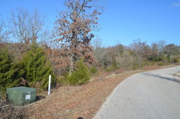 Lot 189 Black Forest, Branson West, MO 65737