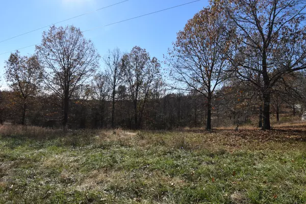 Cape Fair, MO 65624,Lot 150 Panorama Drive