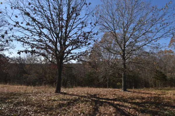 Lot 153 Panorama Drive, Cape Fair, MO 65624