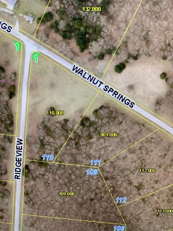 Lot 111 North Walnut Springs Drive, Cape Fair, MO 65624