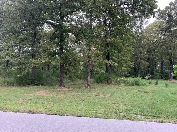 Lot 45 Forest Lake, Branson West, MO 65737