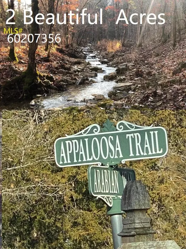 000 Appaloosa Trail, Saddlebrooke, MO 65630