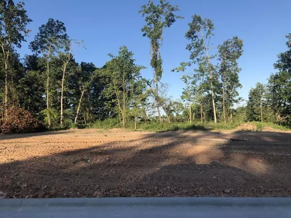 Lot 21 South Dollison Avenue, Springfield, MO 65810