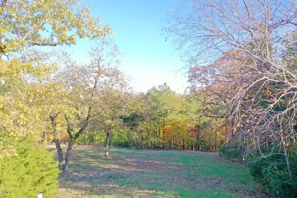 Lot 1 Appaloosa Trail, Saddlebrooke, MO 65630