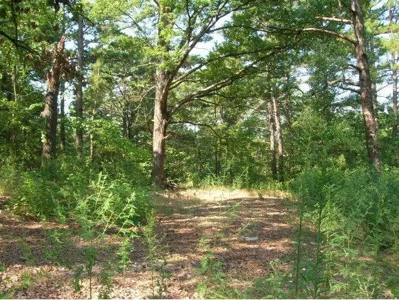 Blue Eye, MO 65611,Lot 6 East 86 Highway