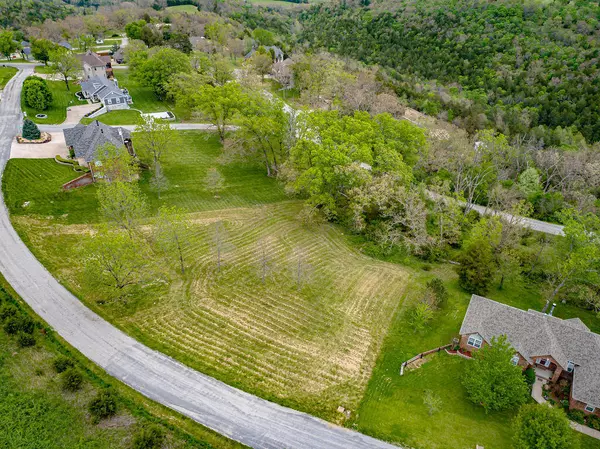 Walnut Shade, MO 65771,221 Jacks Hollow Road